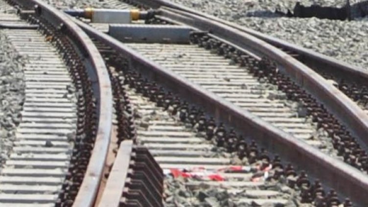 Снимка: Архив Булфото