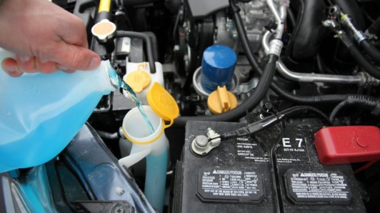 Снимка: flickr