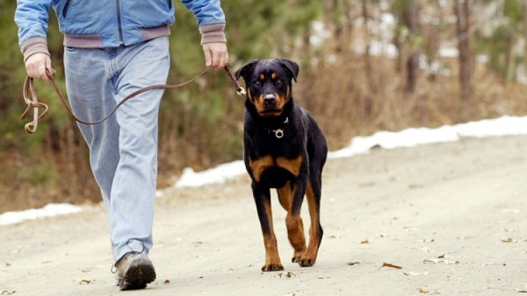 Снимка: архив Ройтерс