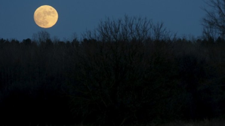 Снимка: архив, Reuters