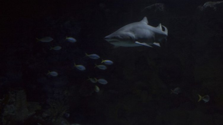 Снимка: архив, Reuters