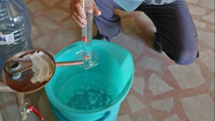 Снимка: Булфото, архив