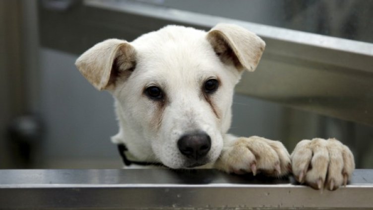 Снимка: Архив Reuters