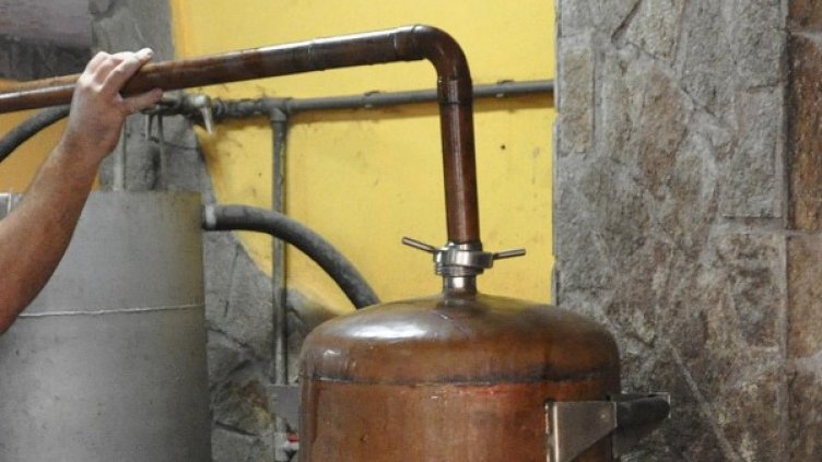 Снимка: Булфото, архив