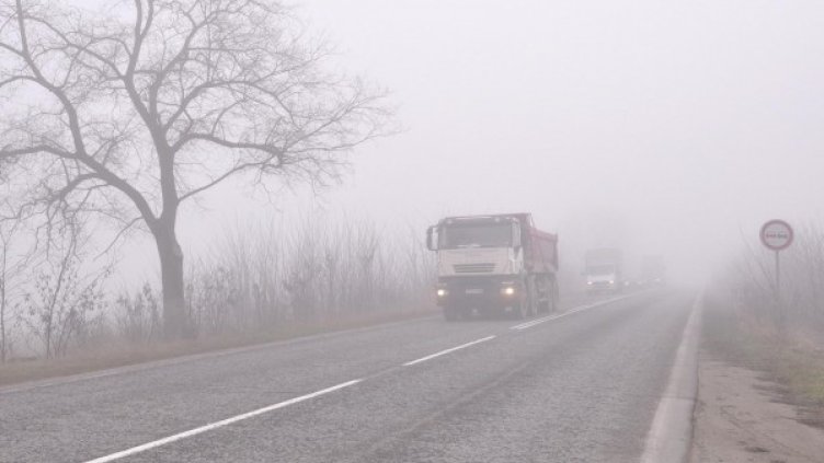 Снимка: архив Bulphoto