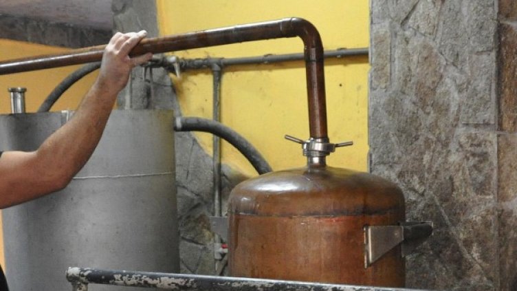 Снимка: Булфото, архив