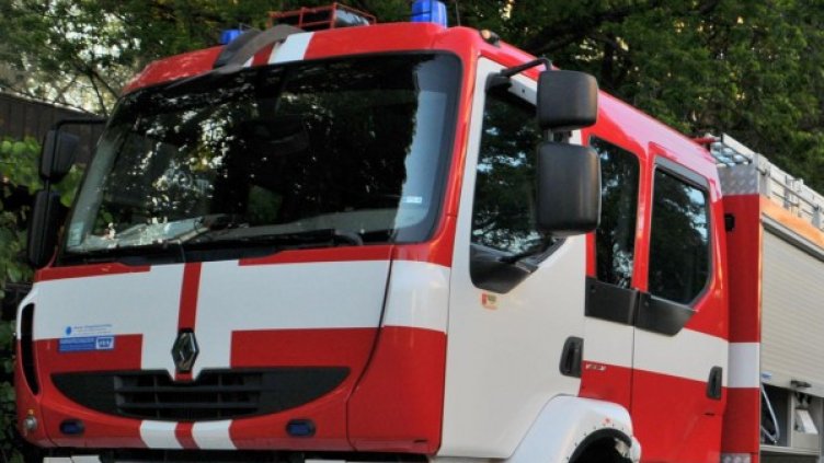 Снимка: Архив Булфото