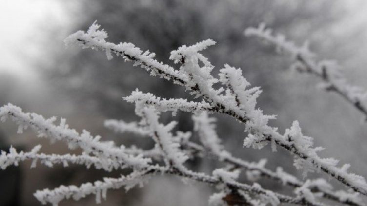 Снимка: архив, БулФото