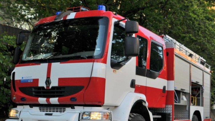 Снимка: Архив Булфото