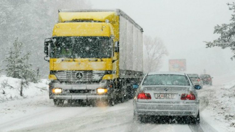 Снимка: архив Булфото