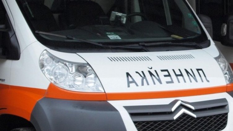 Снимка: Архив Булфото