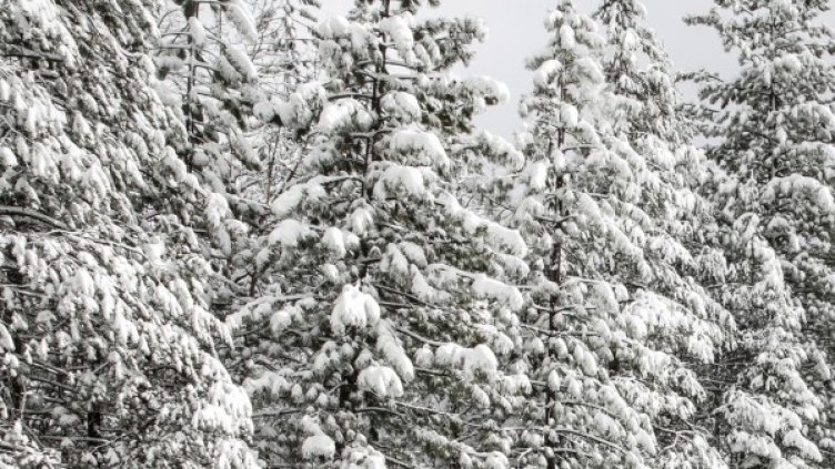 Снимка: Архив Reuters