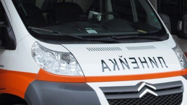 Снимка: Архив Булфото