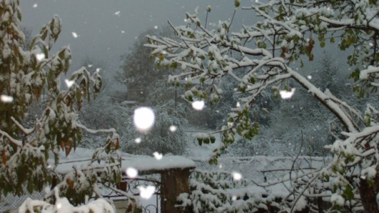 Снимка: архив, Булфото