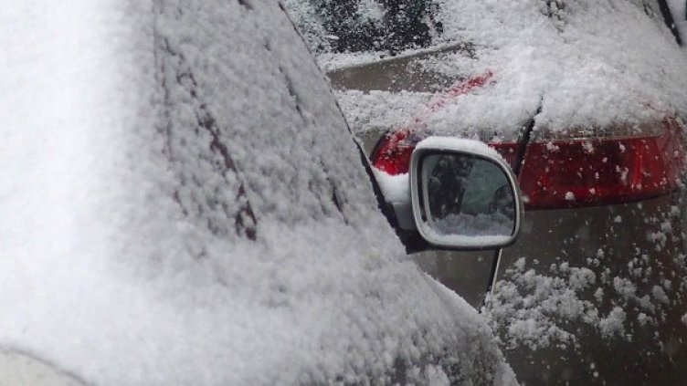 Снимка: архив, БулФото