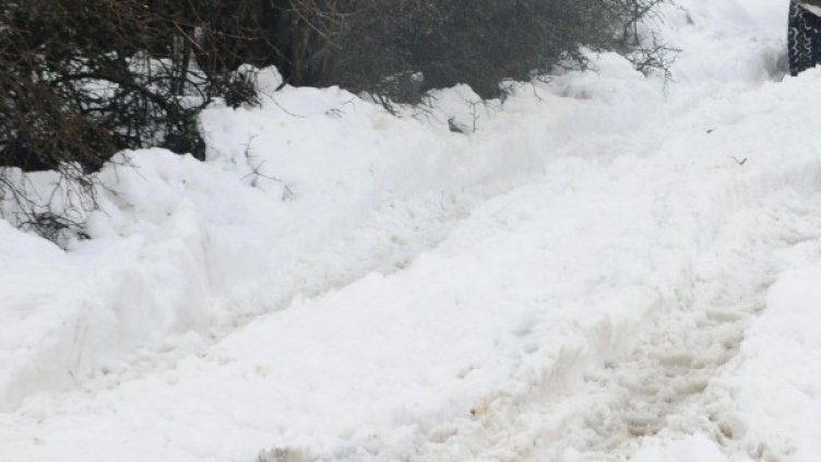 Снимка: архив, БулФото