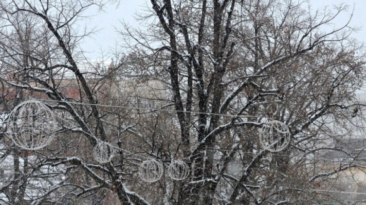 Снимка: Bulphoto