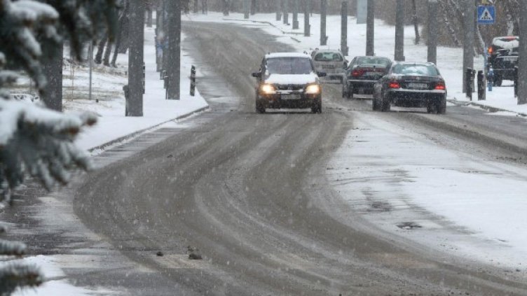 Снимка: Архив Bulphoto