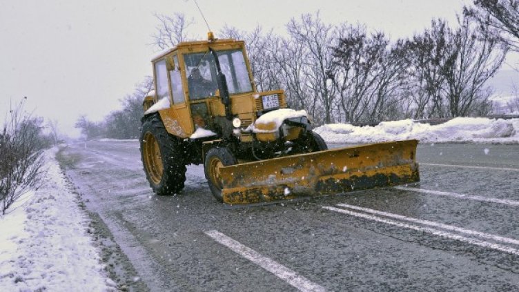 Снимка: Архив Bulphoto