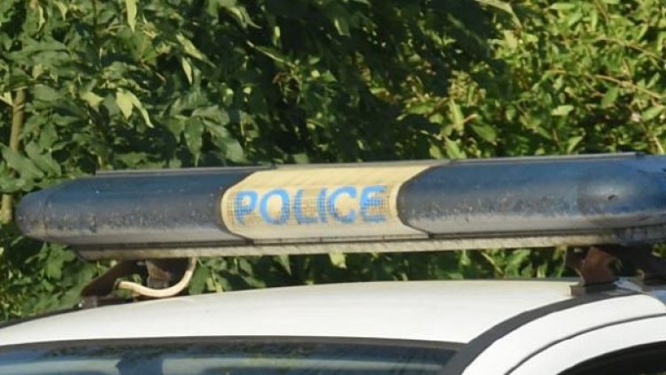 Снимка: Архив Bulphoto