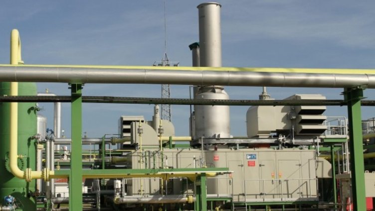 Снимка: Булфото, архив