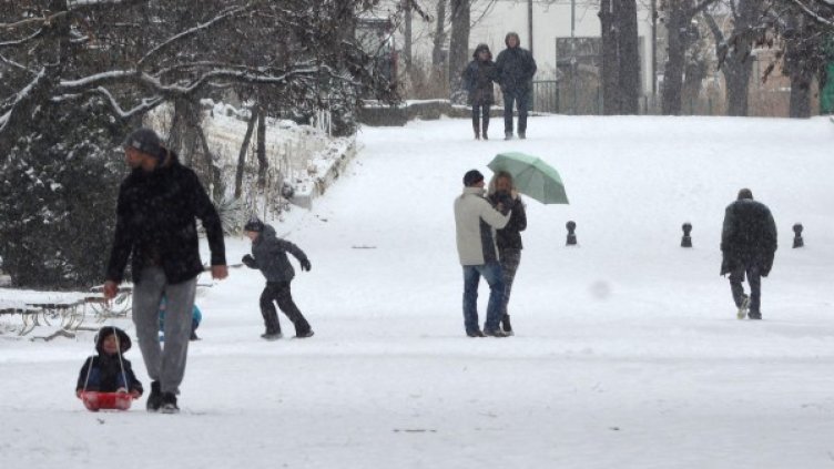 Снимка: Булфото, архив