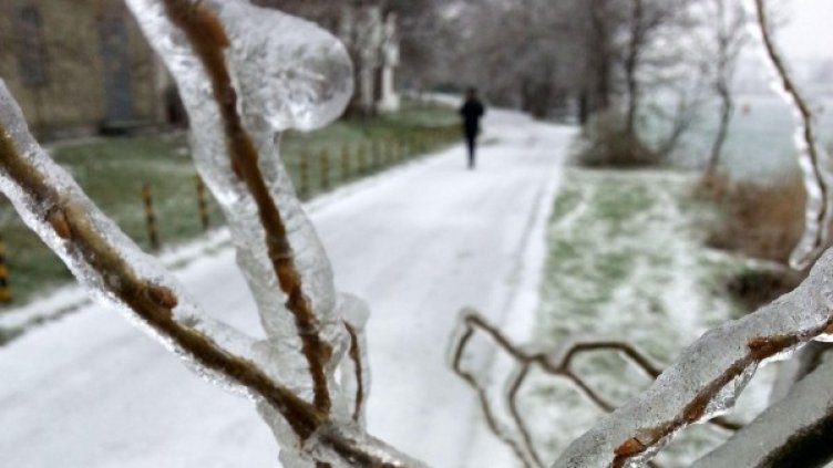 Снимка: архив Булфото