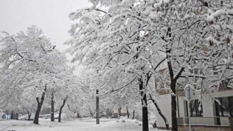 Снимка: архив Булфото