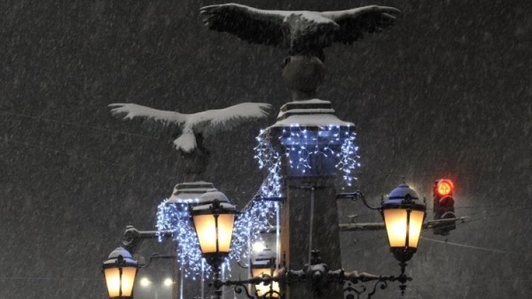 Снимка: Булфото