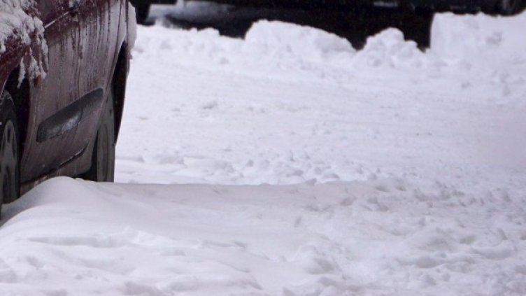 Снимка: Архив Bulphoto