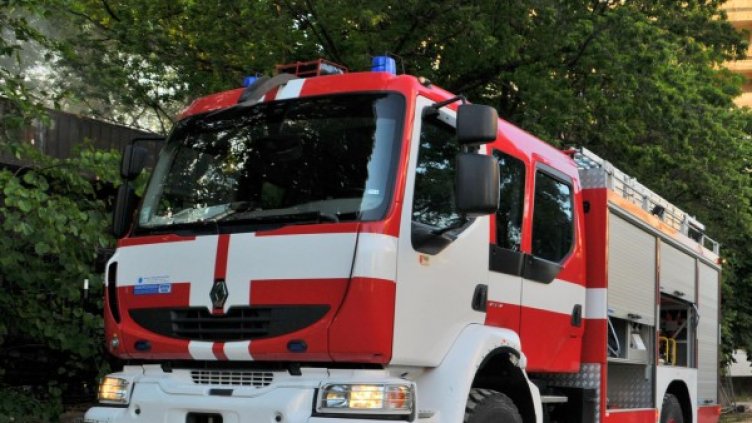 Снимка: Архив Булфото