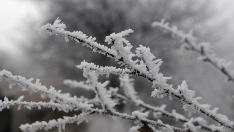 Снимка: архив, БулФото