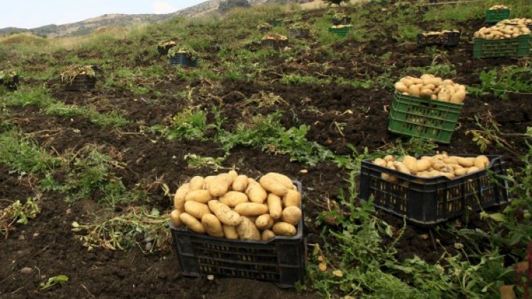 Снимка: архив Reuters