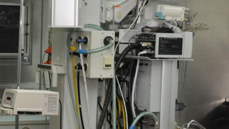 Снимка: архив, БулФото