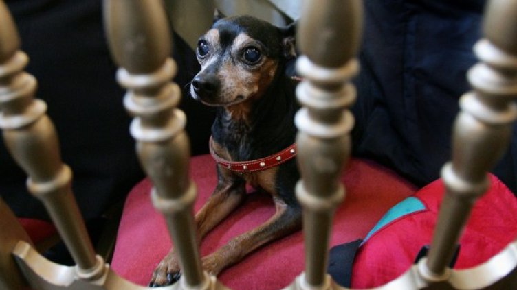 Снимка: Reuters