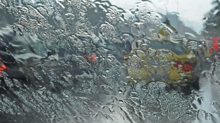 Снимка: архив, БулФото