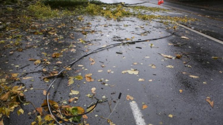 Снимка: Reuters. архив