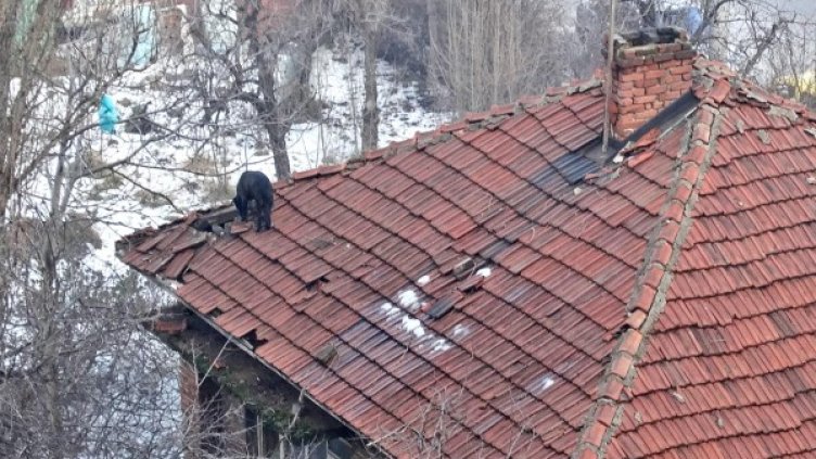 Снимка: Булфото