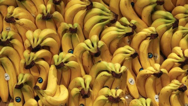 Снимка: Reuters. архив