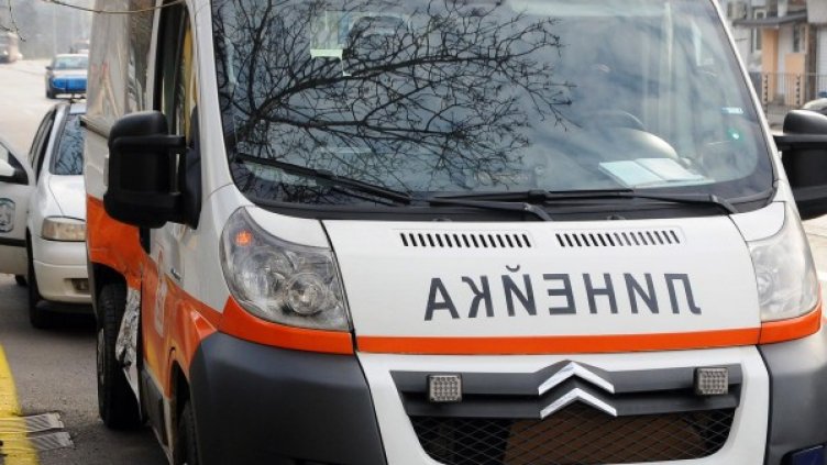 Снимка: Булфото