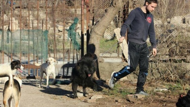 Убитият Тодор много обичал животните. Снимка: Facebook