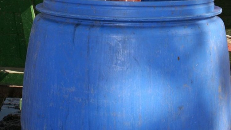 Снимка: Булфото