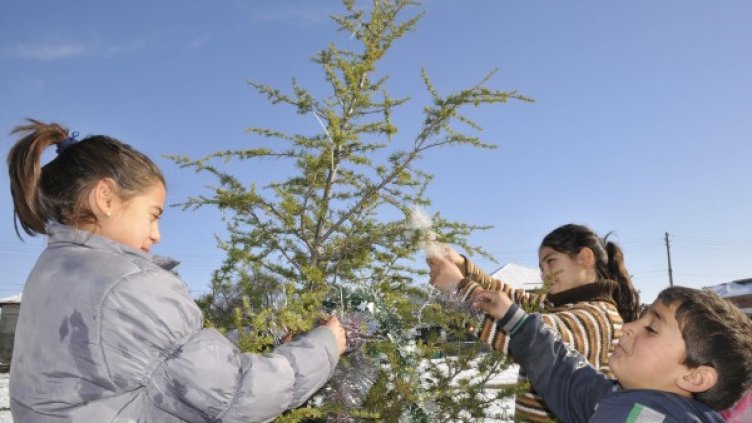 Снимка: Булфото, архив