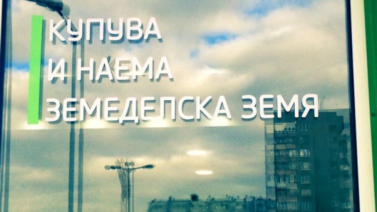 Снимка: Агрион
Снимка: Агрион
Снимка: Агрион