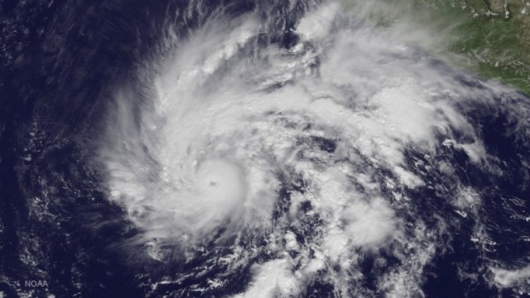 Снимка: Reuters. архив