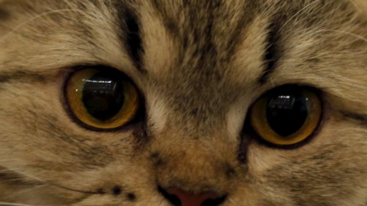 Снимка: архив, Ройтерс