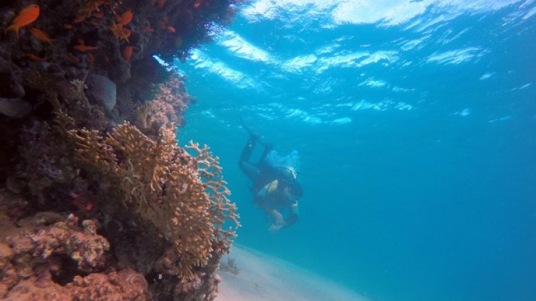 Денят в снимки