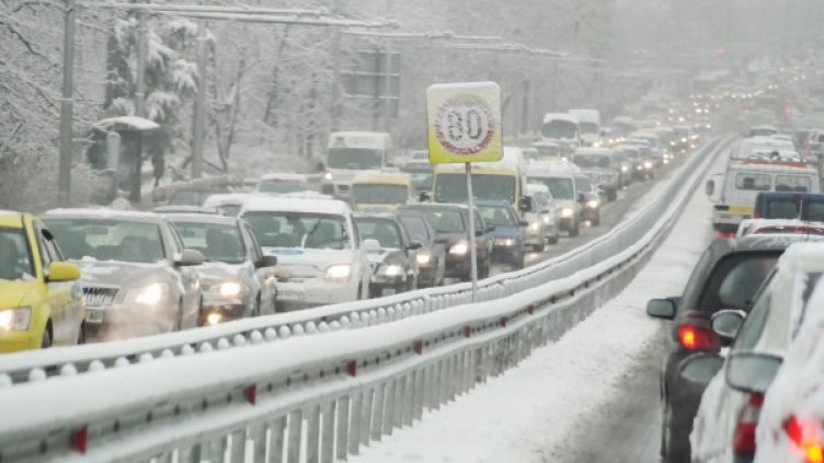 Снимка: Булфото