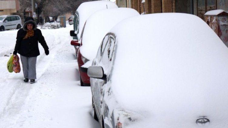 Снимка: Булфото