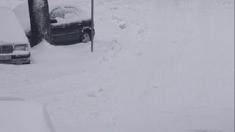 Снимка: архив, Булфото